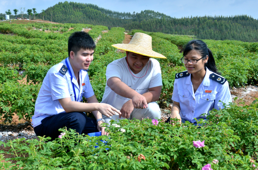 ����Ϯ��õ���� �������ͣ��